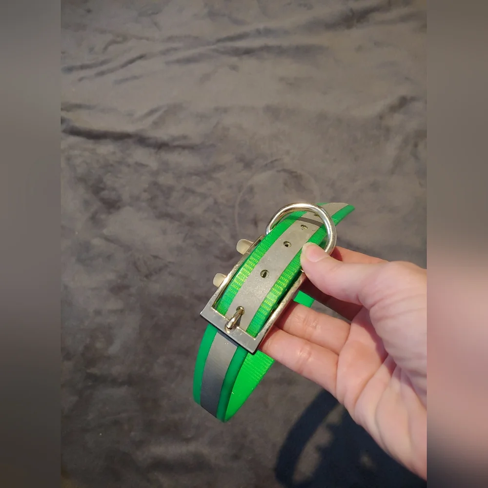Amazon reflective collar